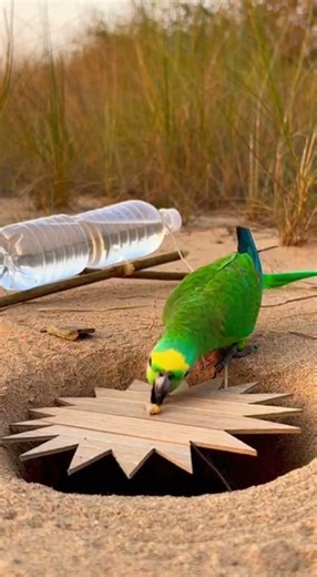 Creative And Beautiful Trap Unleash Epic Vibes #shorts #trapmusic #beats