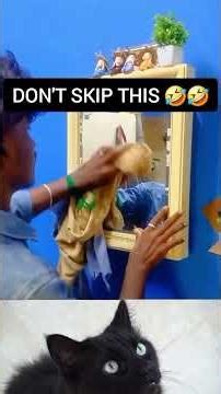 best fails 2026 #funny #cat #fails #longvideo #viral