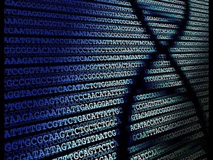 Next-Gen DNA Sequence (NGS) Analysis