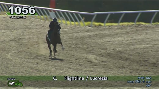 What you just Witnessed is a horse thats going to sell for a lot of $ and the the retard who buys it so rich most likely just looking a tax write off buys this horse and the this horse gets 1/2 starts and laid up cause hurt1)Is horse Fast - yes2)Is his stride efficent - no. Horse comes down really hard right front. That is prone to injury written all over it