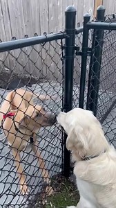 85K views · 1K reactions | Rumble on Reels | Facebook