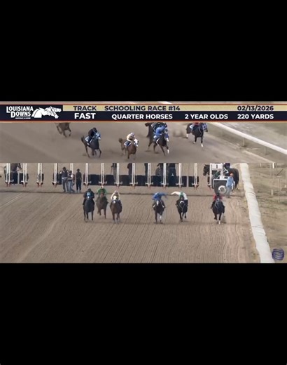 𝗥𝗥𝗜 𝗦𝗮𝗹𝗲 𝗚𝗿𝗮𝗱𝘂𝗮𝘁𝗲 High Endd (𝗚𝗼𝗹𝗱 𝗛𝗲𝗮𝗿𝘁 𝗘𝗮𝗴𝗹𝗲 𝗩 - Classie by Five Bar Cartel), wins his schooling race today at Louisiana Downs. Owned by Ky Luddington. | Robicheaux Ranch