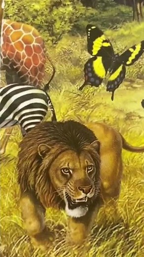 Ranger Rick Adventures