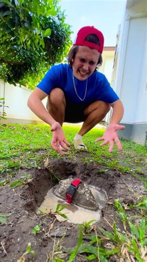 A Day in the Life of a Pet Rock: Adventures Await!