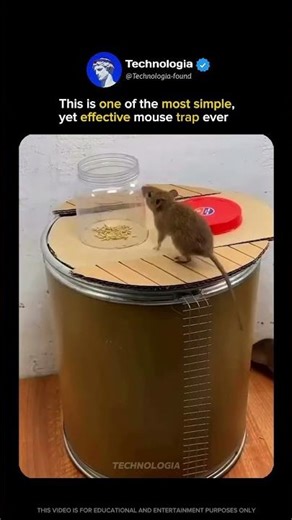 Most effective mouse trap ever…🐁🪤