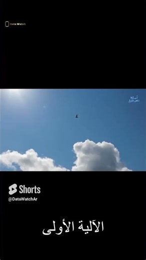 كيف يقوم الحمام الزاجل بتوصيل الرسائل ؟ - حقائق غريبة ومثيرة عن الحمام الزاجل #shorts