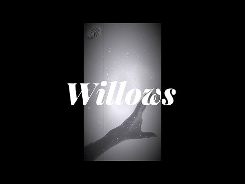 Willows - Two Wolves [official video]
