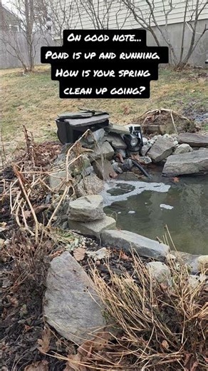 Spring clean up.#pond #spring #gardening