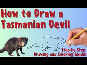 How To Draw A Tasmanian Devil - Fun & Easy Step-by-Step Drawing and Coloring Guide