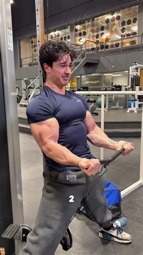 Fastest most effective workout split 3days only