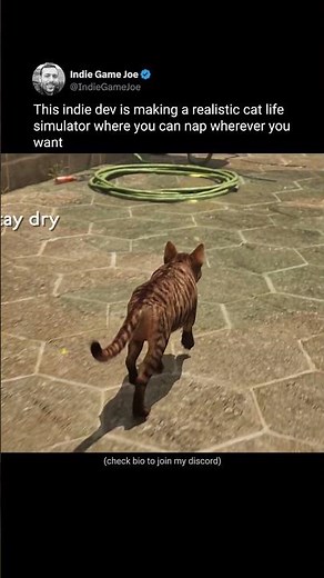 A realistic cat life sim where you nap anywhere, cause chaos and charm strangers