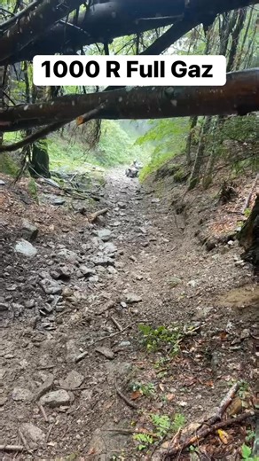 15K views · 90 reactions | What’s the problem? The rider? The tires? The brand? The air pressure? The grip? @faniactivi ATV Life Romania The Race - Extreme ATV & Enduro Trial Enduro Life Tours & Rental ATV-uri Ieftine de Vanzare RO Can Am Outlanders 9 Lives Off-Road #offroad #gripp #maxxis #MaxxisTyres #reallife #fypviralシ #foryouシ #atv | ATV Life Romania | Facebook