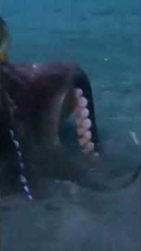 The Aliens of the Deep! #shorts