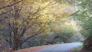 GLORY ROAD Lyrics - NEIL DIAMOND | eLyrics.net