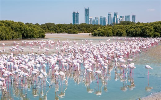 How Dubai became an eco-friendly home to sustainable tourism