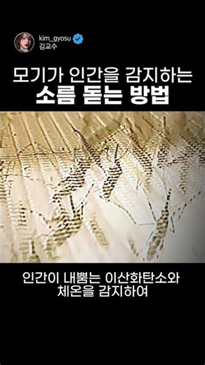 모기가 인간을 감지하는 방법 #모기