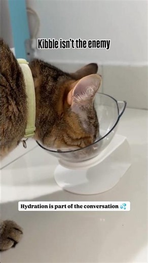 Kibble isn’t the enemy