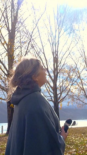 4.2K views · 1.3K reactions | Quel arbre seriez vous ?   Myla et l’arbre bateau, d’Isabelle Aboulker ♥️ extrait de notre nouvel album Nuées Ardentes   @magnificoho | Birds on a Wire | Facebook