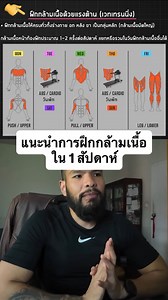 แนะนำการฝึกกล้ามเนื้อใน 1 สัปดาห์ | BODY HERO