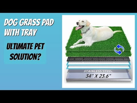 REVIEW (2026): Dog Grass Pad with Tray. Features