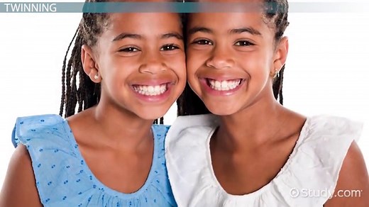 Animal Cloning | Definition, History & Uses