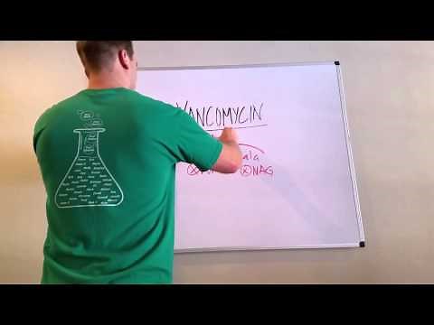 Vancomycin: What You Need to Know