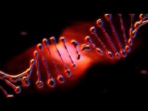 Alien DNA - video designed by dreamscene.org