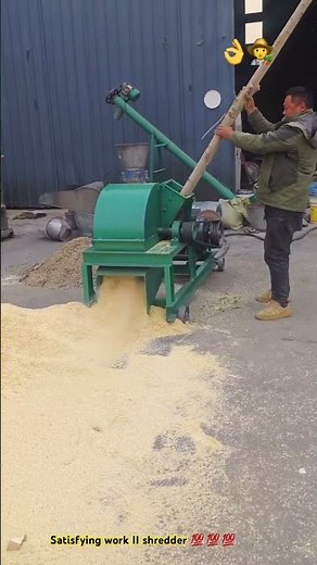 Wood chipping : Shredding tree process with perfect machining