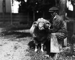 Our History | Heart's Delight Farm | Miner Institute