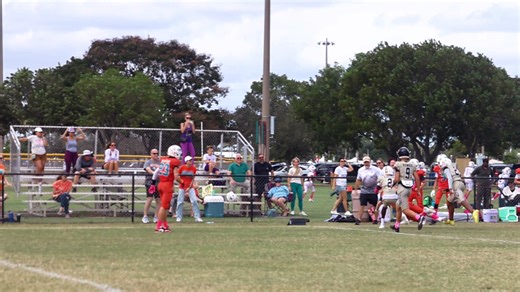 Pro Dolphins vs. Saints | WCFL Football & Cheer