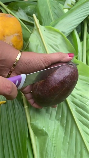 Red avocado #avocado