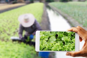 Ideas for Farm Videos (with Examples!) — Grapevine Local Food Marketing