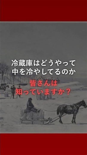 冷蔵庫の中身が冷える仕組み、知ってた？ #雑学