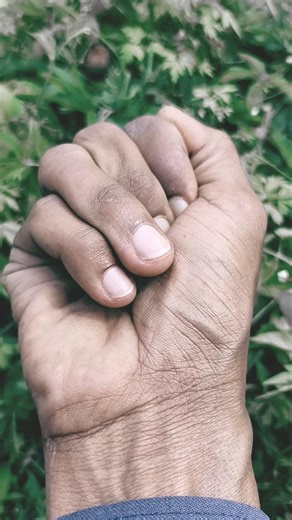 Red insects 🐞🪲#nature #insects #bug #wildlife #animals