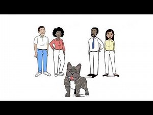 Understanding Date of Transfer