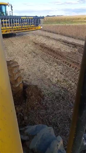 Gihann van Graan (@gihann_van_graan)’s videos with Black Betty - Vahtang beatbox