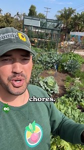 631K views · 10K reactions | Another busy day in the garden! With peak spring in full swing, there’s always something to do—weeding, harvesting, planting, trellising, and of course, handling an overabundance of eggs! 讀 We believe in using quality tools, so keeping them in top shape year after year is key. That’s why we love 3-IN-ONE Oil for rust removal, lubrication, and long-term protection. It works like a charm! ️ | All About Gardening | Facebook