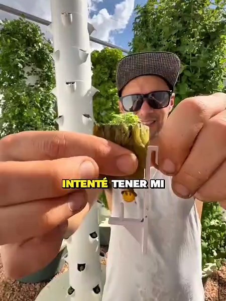 Sigueme para aprender mas sobre la hidroponia #hidroponia #cultivo #huertoencasa #agricultura #hidroponiaencasa