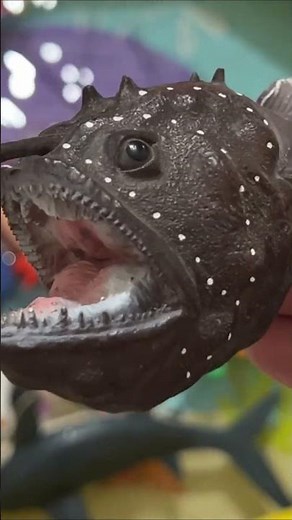 Sea Animals for Kids 🐠 | Learn Ocean Animal Names & Fun Facts for Toddlers, Preschool & Kids