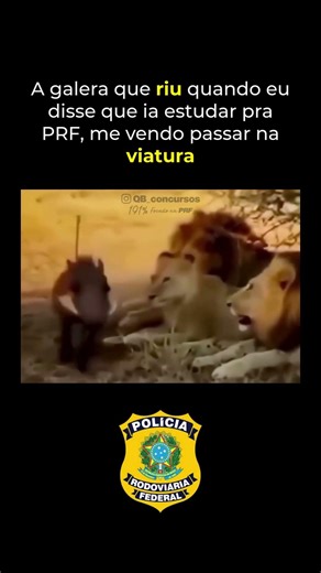 QB_Concursos - Único curso 191% FOCADO na PRF #prf #concursoprf #prfmotivacional