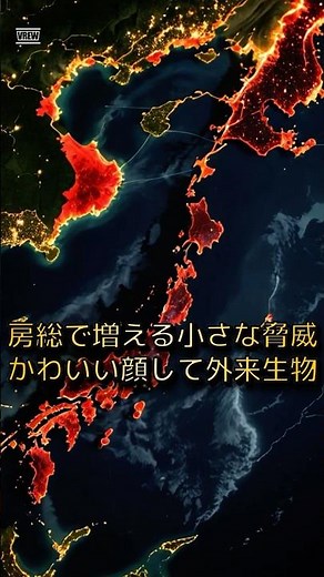 【千葉で増えるキョンとは？】かわいい顔した特定外来生物｜ #裏タメ #shorts #雑学 #キョン #千葉県 #外来生物 #生態系