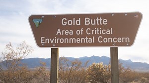 Nevada lawmakers push Interior Secretary to keep state's national monuments