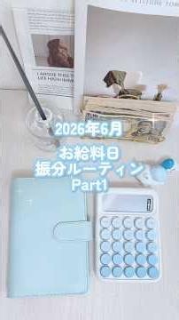 【給料日ルーティン】25歳⌇手取り24万⌇ 都内SES #家計管理 #給料日ルーティン #バインダー貯金 #資産形成
