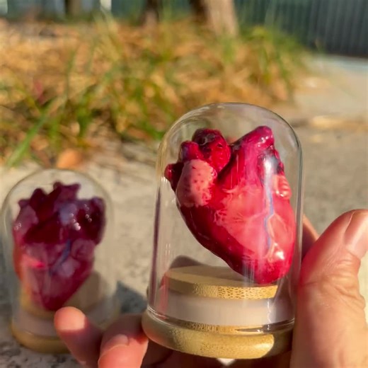 Handcrafted Realistic Human Heart Decoration for Halloween, Perfect for Desk Ornaments, Ideal Gift for Loved Ones - Etsy