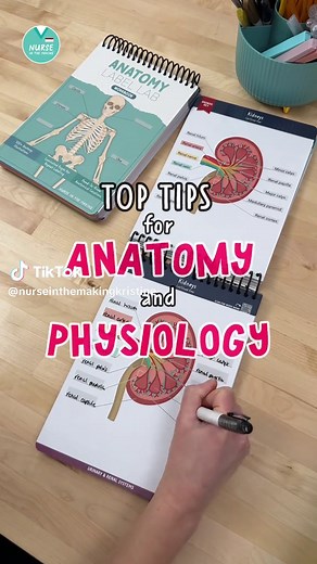 Anatomy Label Lab Practice for Healthcare Students