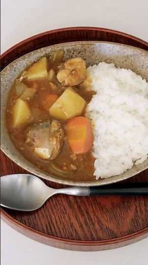Choosing Japanese Curry Roux is Easier Than You Think 📦