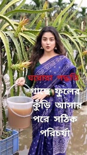 ফুল আসার পরে 5 টা ভুলের সমাধান।😱👌👍♥️🫡 #youtubeshorts #dragonfruit #viral #garden #flowers #dragon