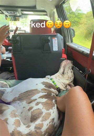 Trazodone for a Road Trip: Effects, Safety, and Tips
