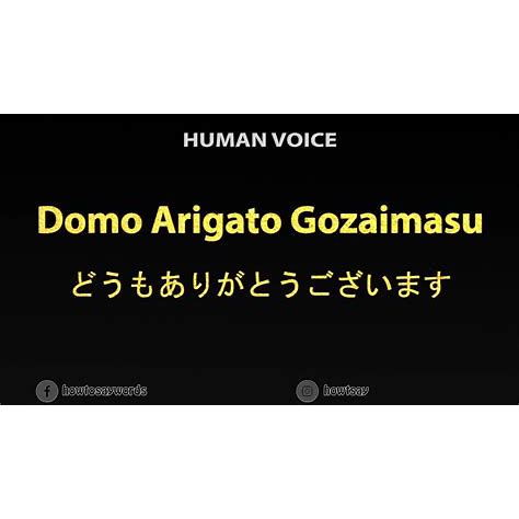 Doumo Arigatou Gozaimasu