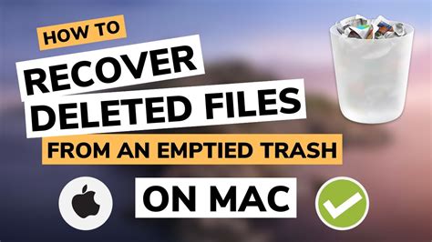 membersihkan tempat sampah macbook